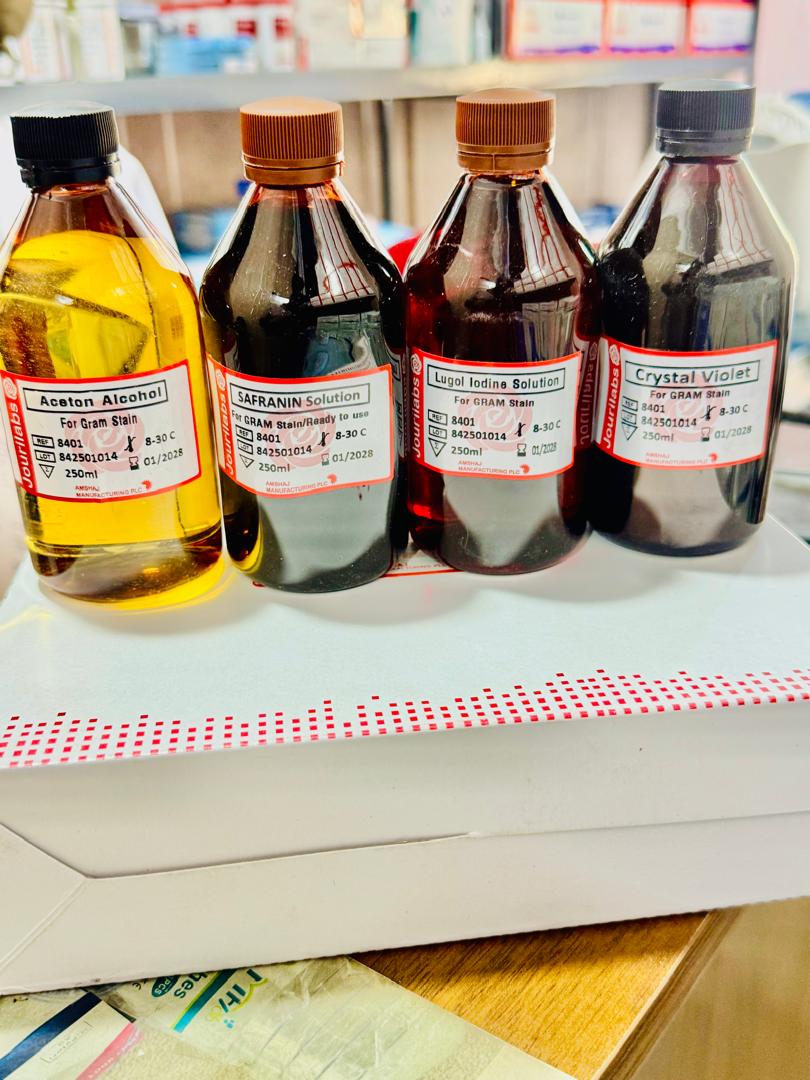 gram stain kit